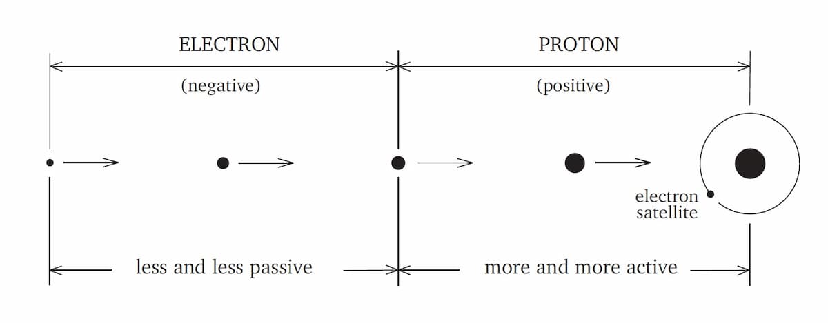 Birth and evolution of the particle