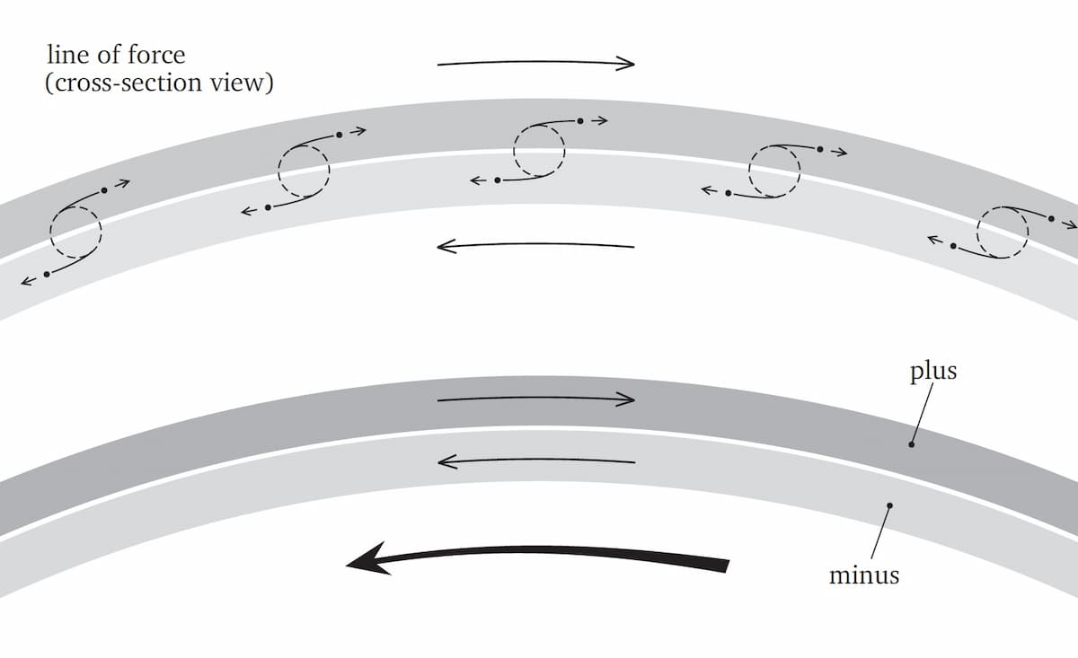 Aspect of forces and forms of the ring