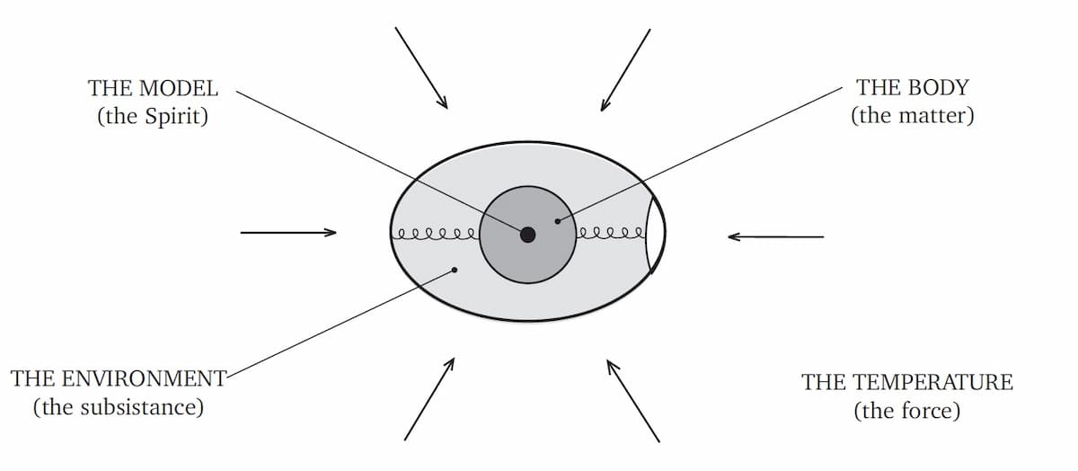 The constitutive elements of being
